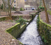 Image of BURTON DEAN PARK